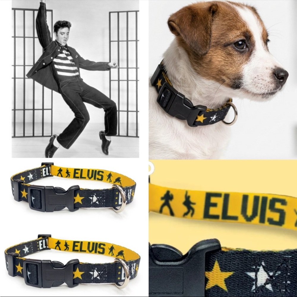 Elvi Dog Collar